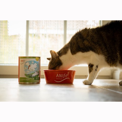 Katze Nassfutter Puterichs Delight 810g 6 Stück -3- Anifit