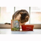 Katze Nassfutter Puterichs Delight 810g 6 Stück -6- Anifit
